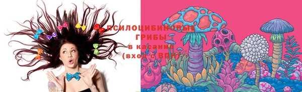 гидра Абинск