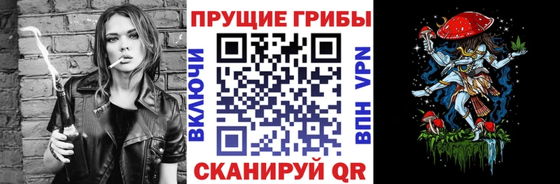 Псилоцибиновые грибы GOLDEN TEACHER  мега ссылка  Ачхой-Мартан  дарнет шоп 