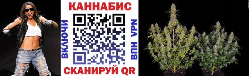 хочу наркоту  Ачхой-Мартан  Канабис семена 